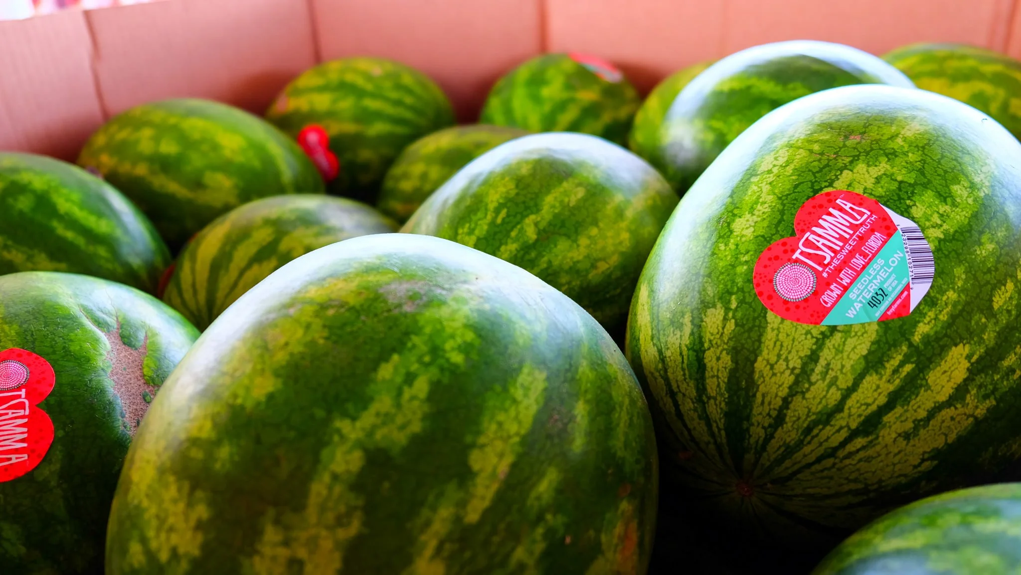 Frey Farms - Photo 24.jpg