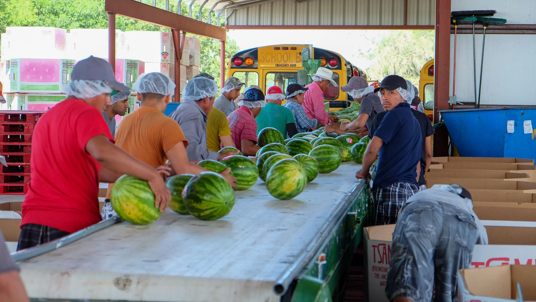 Frey Farms - Photo 21.jpg