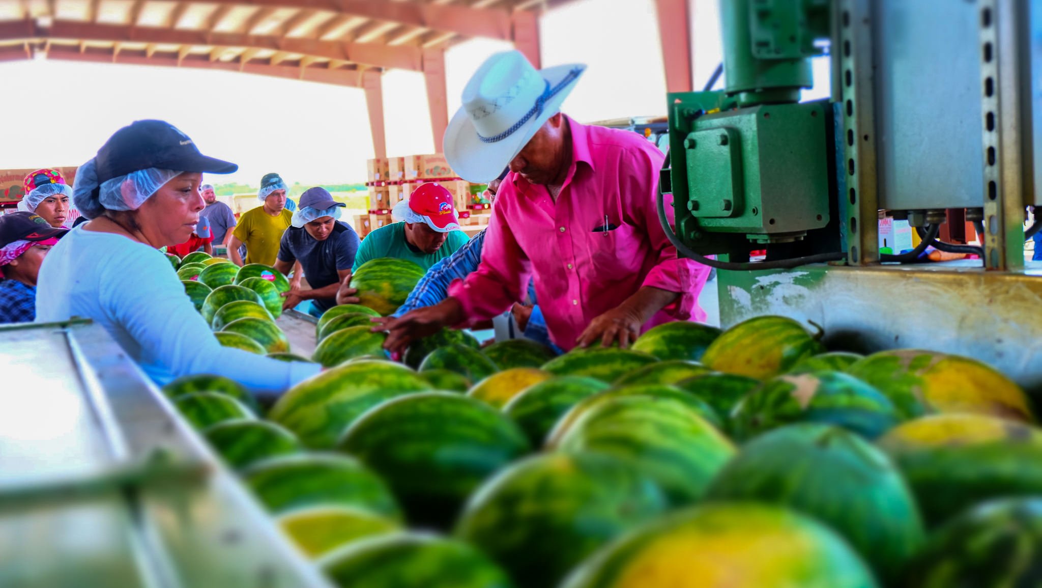 Frey Farms - Photo 22.jpg