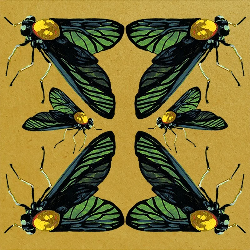 "Goldfly" - 8"x8", gouache & digital