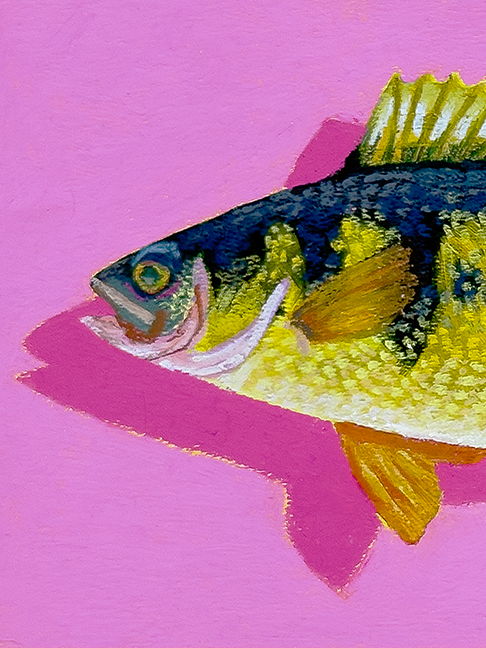 purple perch 3x4 detail.png