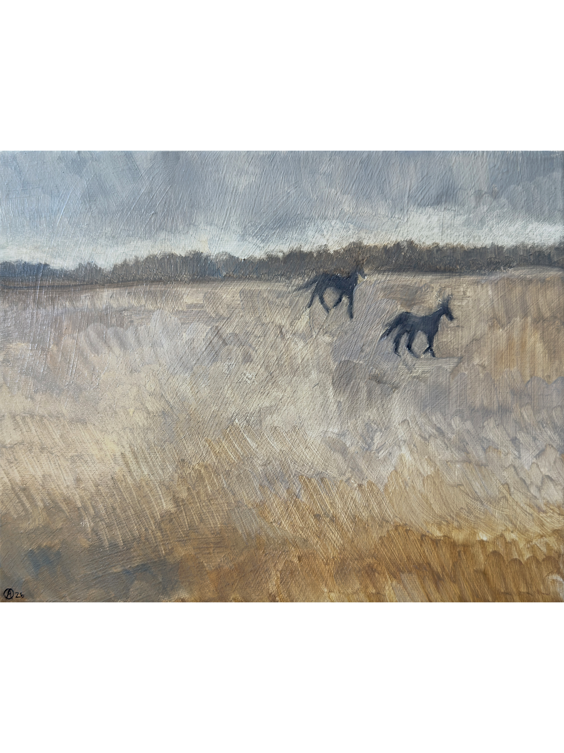 field study 1 3x4.png