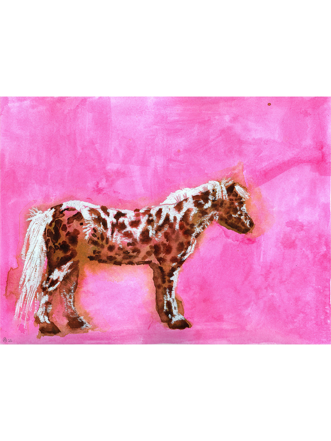 spottedcolor 3x4.png