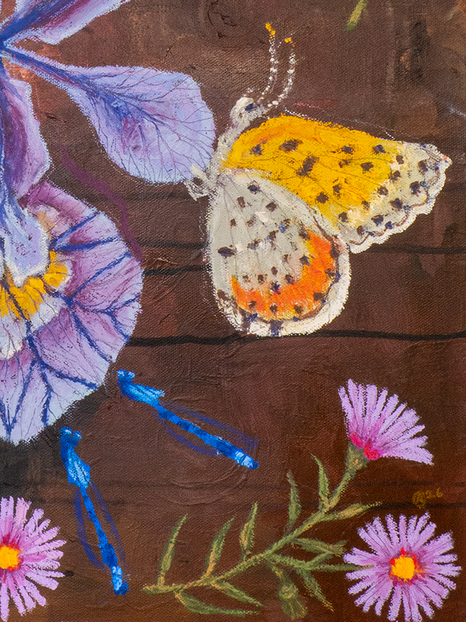 iris axis 3x4 detail.png