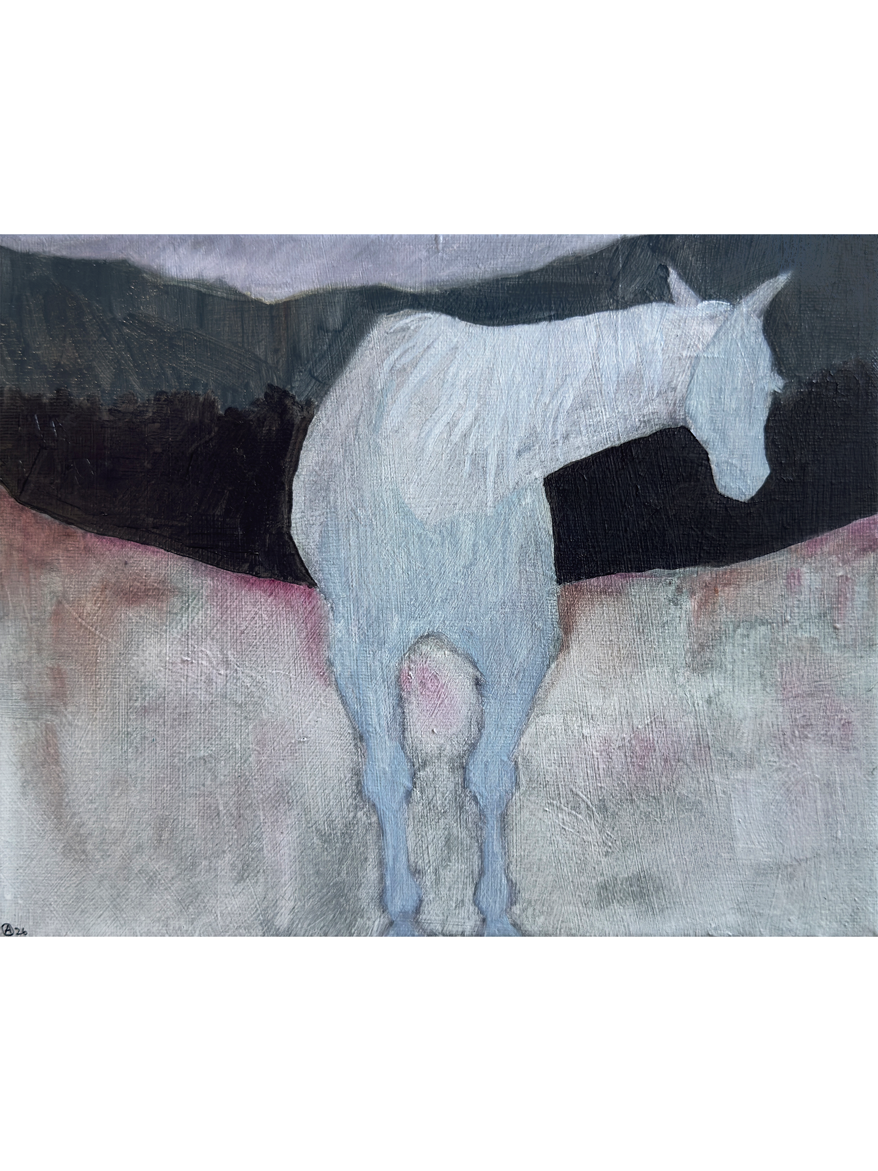 field study 2 3x4.png