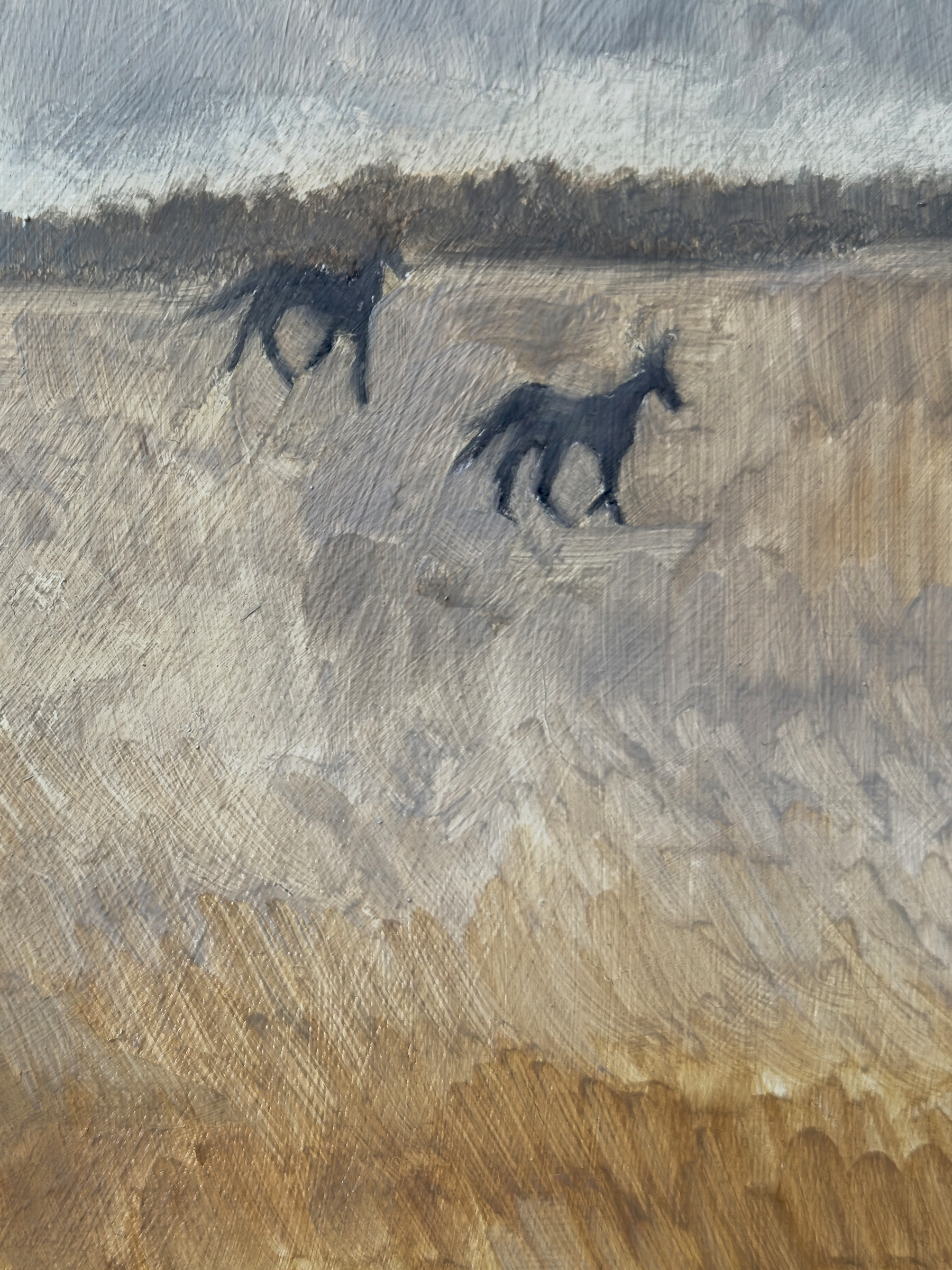 field study 1 detail 3x4.png