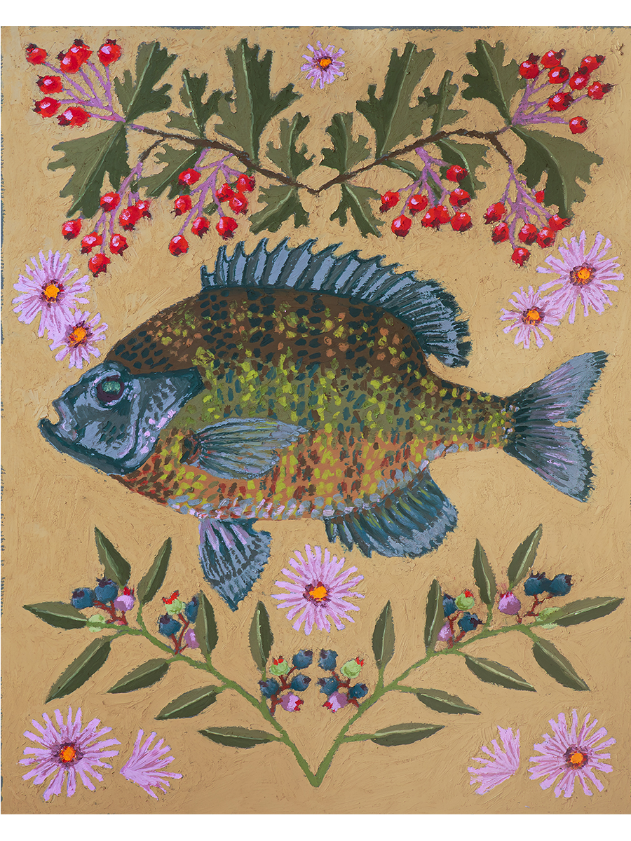 Votive Bluegill - print