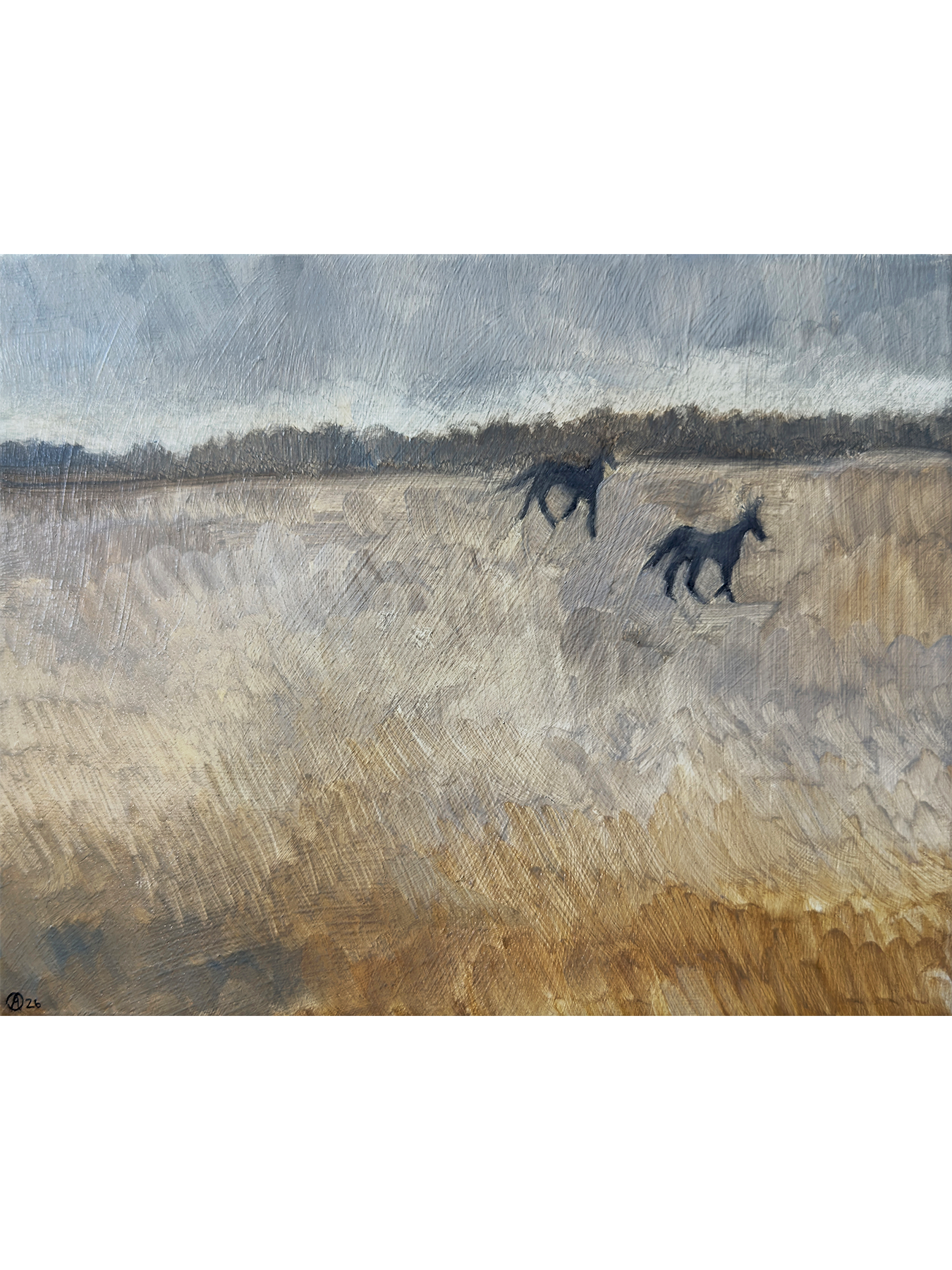 field studies 1 3x4.png