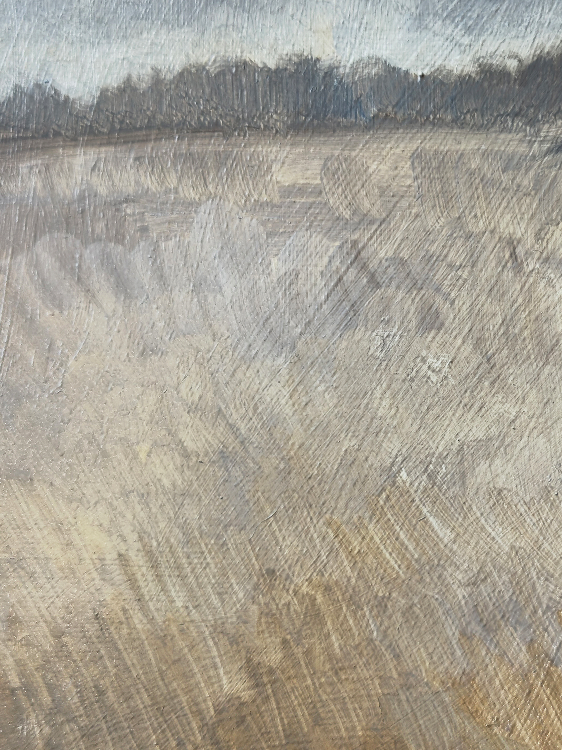 field study 1 detail2 3x4.png