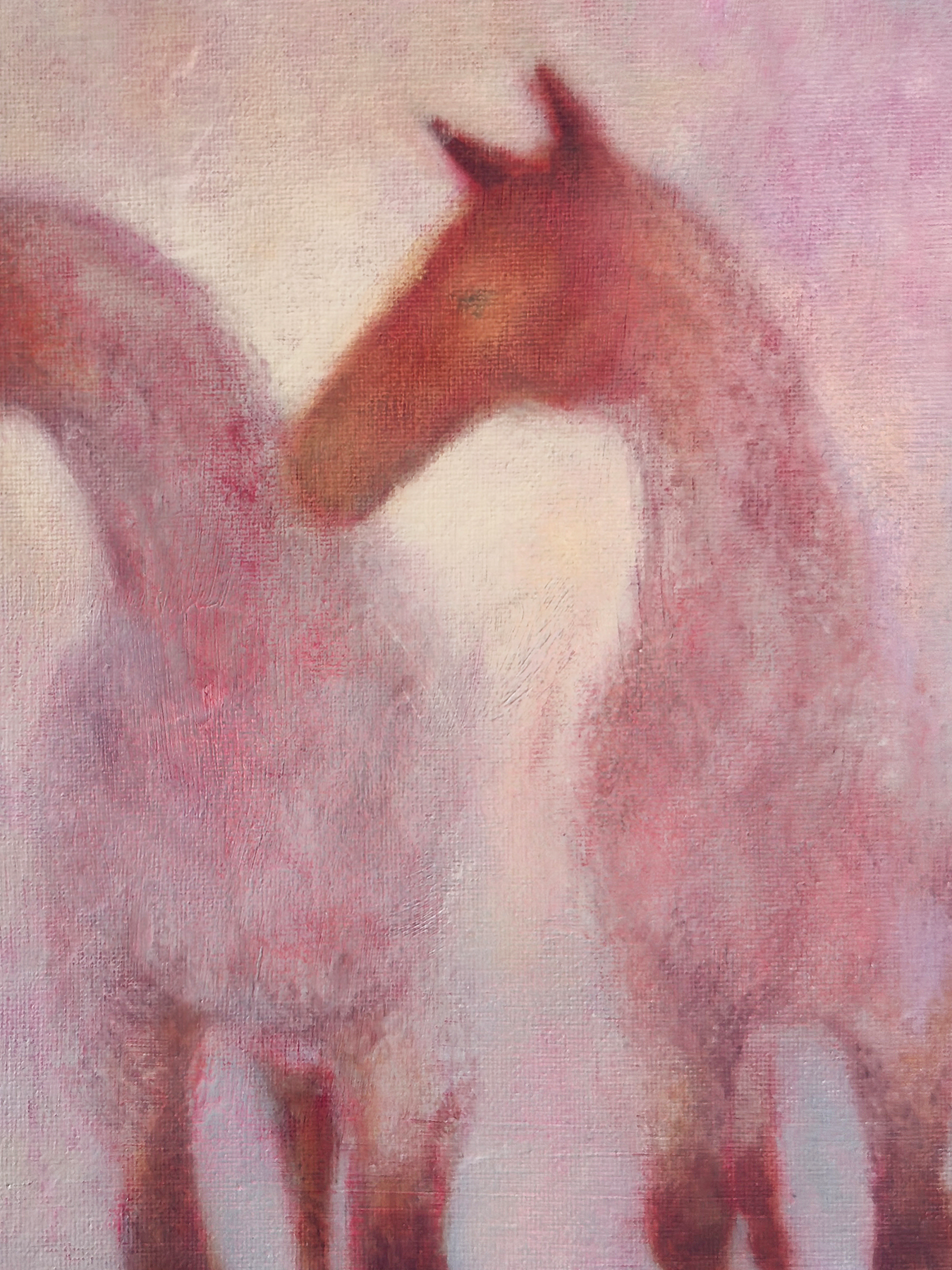 sunrise pair for shop detail.png
