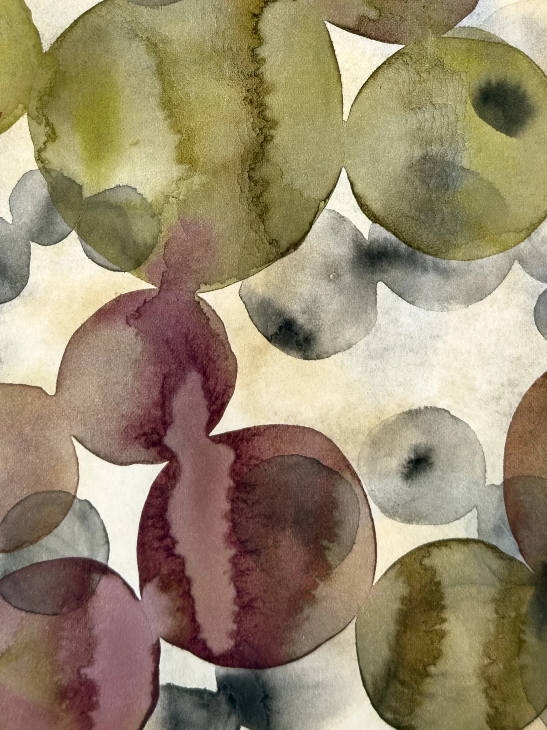 algae study 3x4 detail.jpg