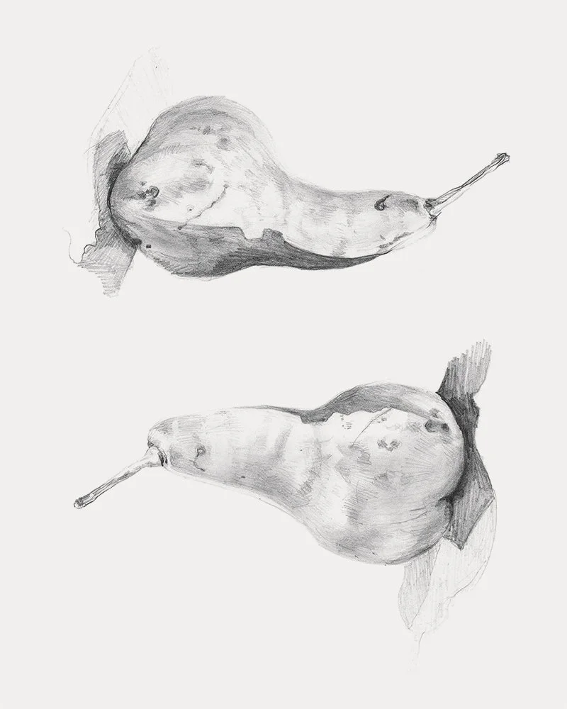 "La Pera" - 8"x10", graphite on paper