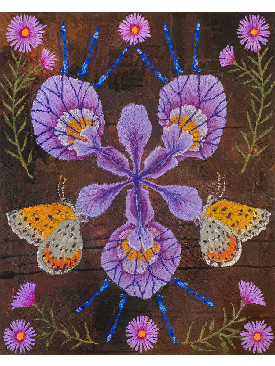 Iris Axis - print