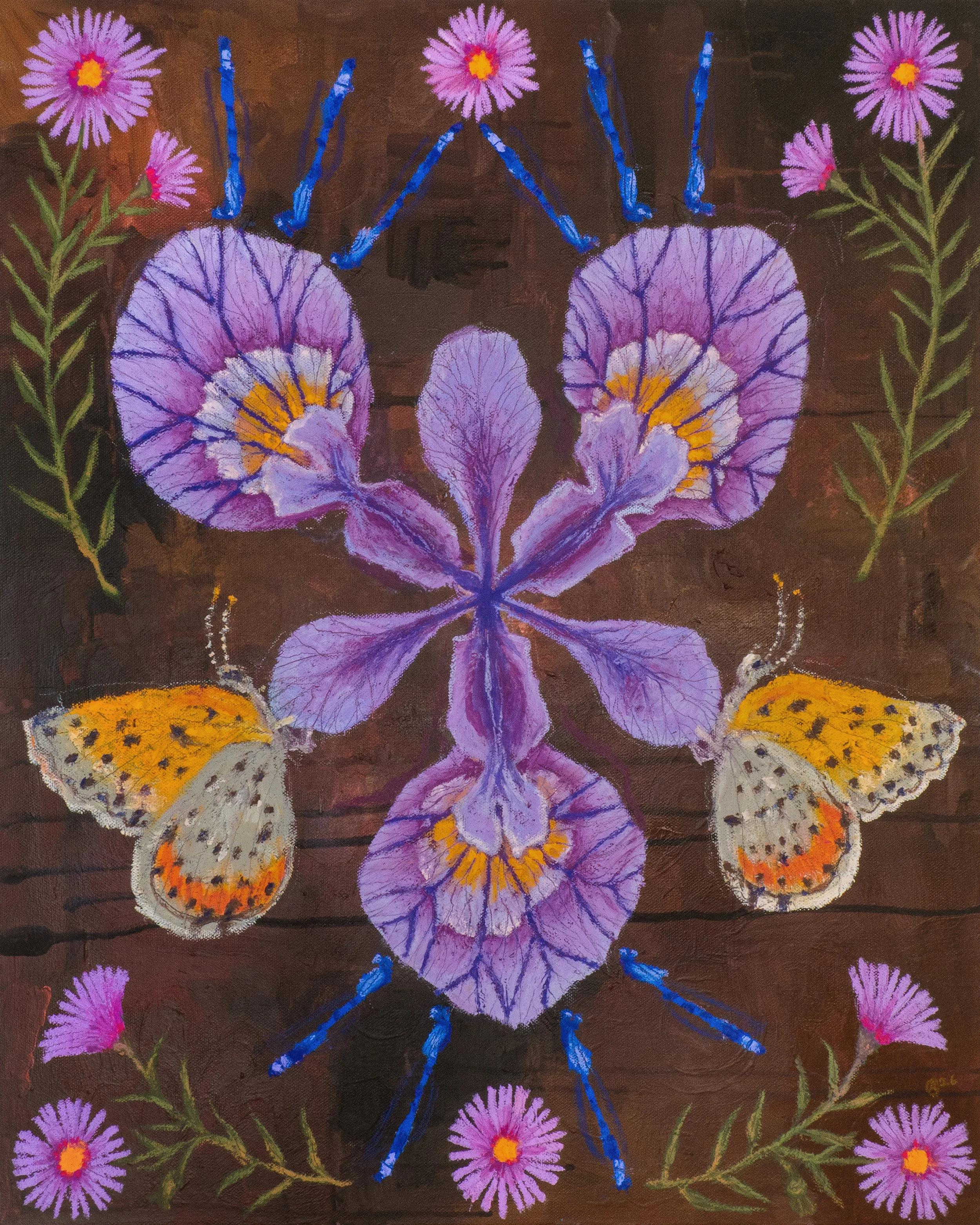 iris axis 8x10 print.jpg