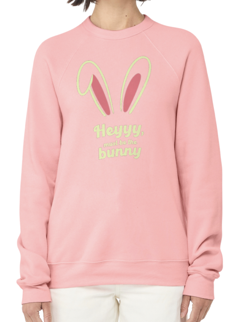 HeyMustBetheBunny02.png