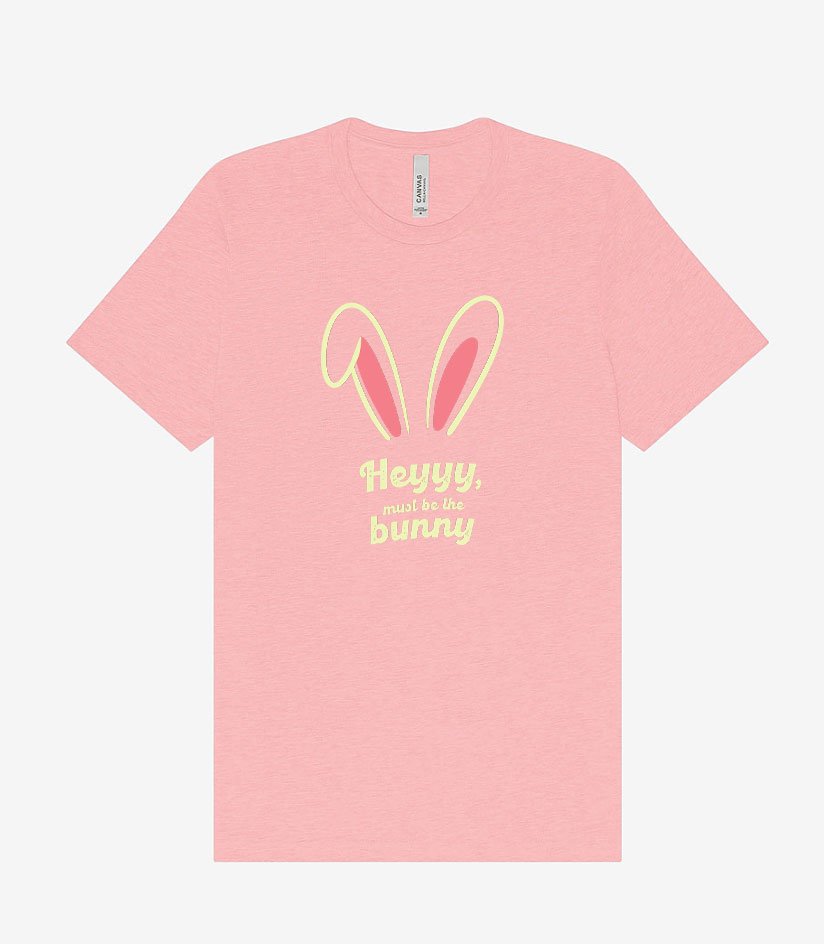 HeyMustBetheBunny04.jpg