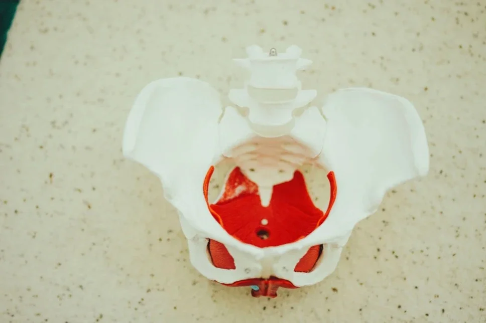 What is the Pelvic Floor? A Simple Guide for Parents