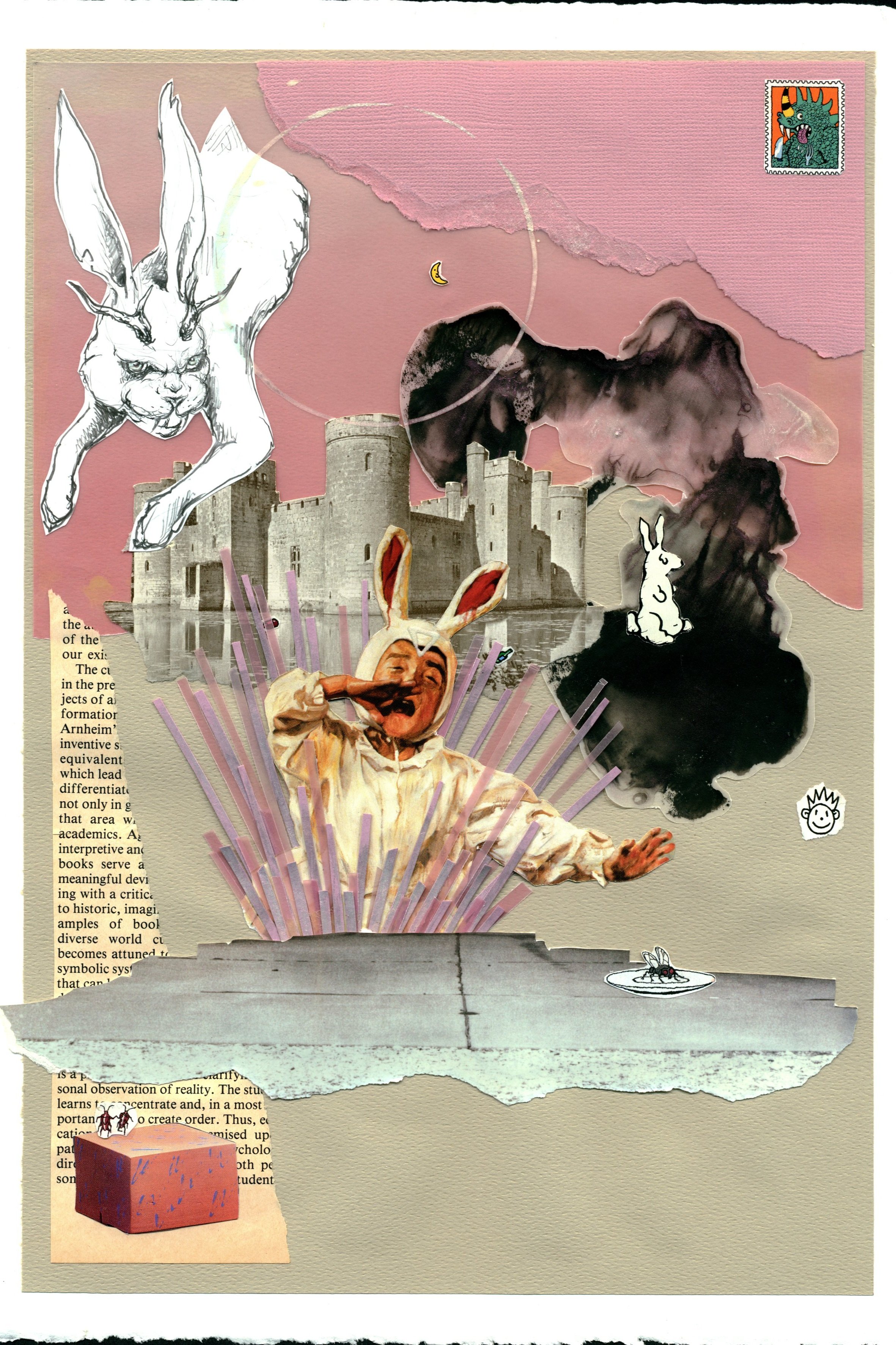 rabbit+4.jpg