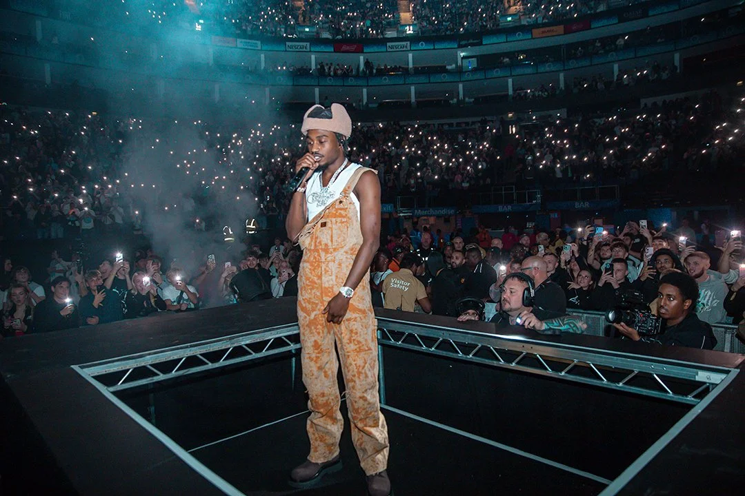 A musician performs on stage at a crowded arena with audience members holding up lights.