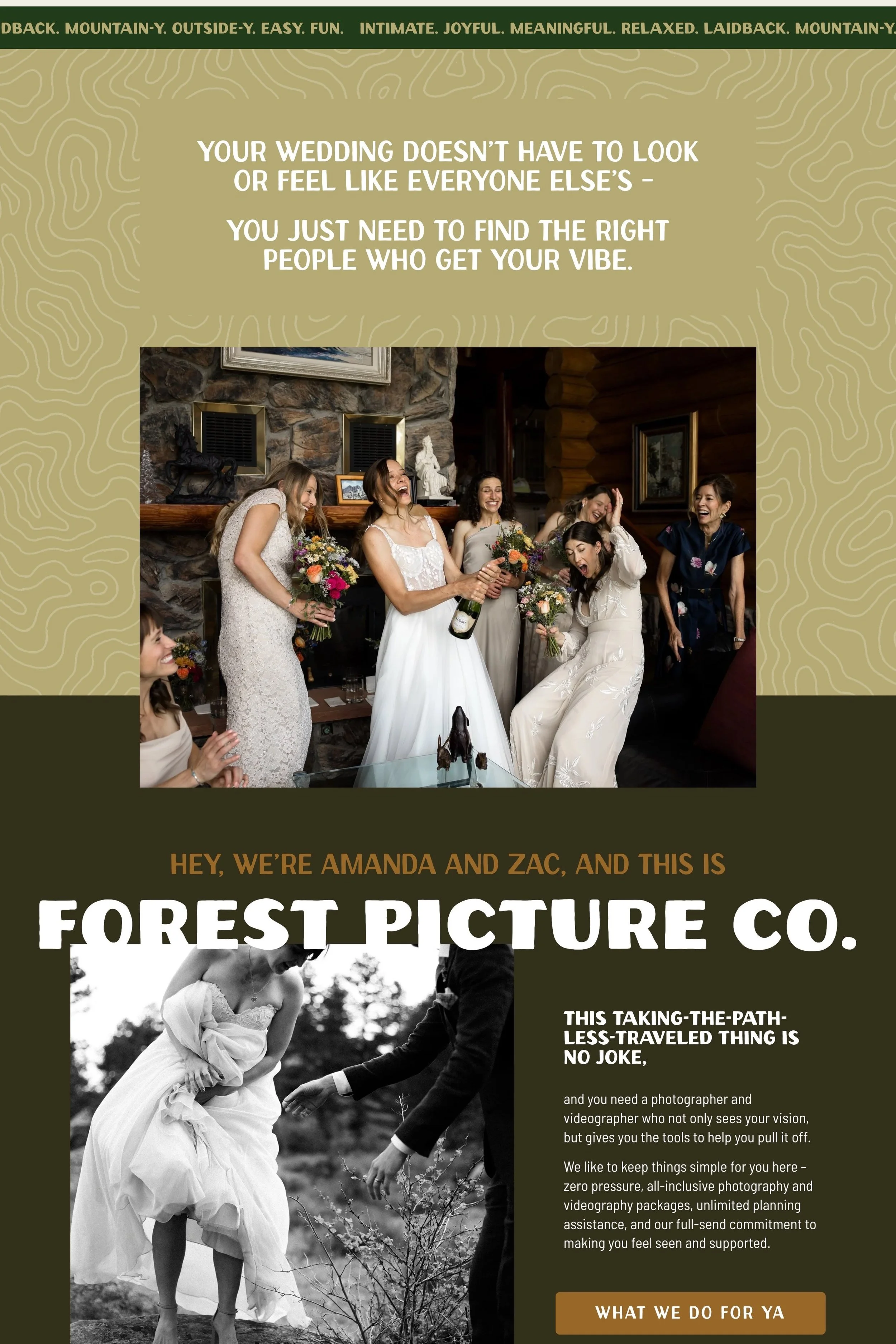 Copywriting and Web Design for Forest Picture Company 