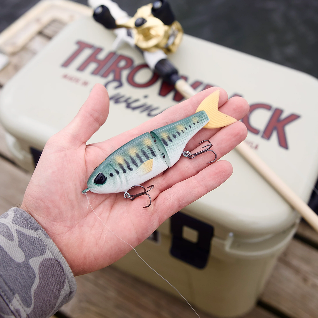 Muscadine Bloodline x Throwback "Baby Bass"
