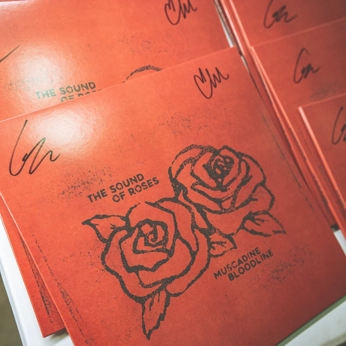 New Vinyl - The Sound of Roses