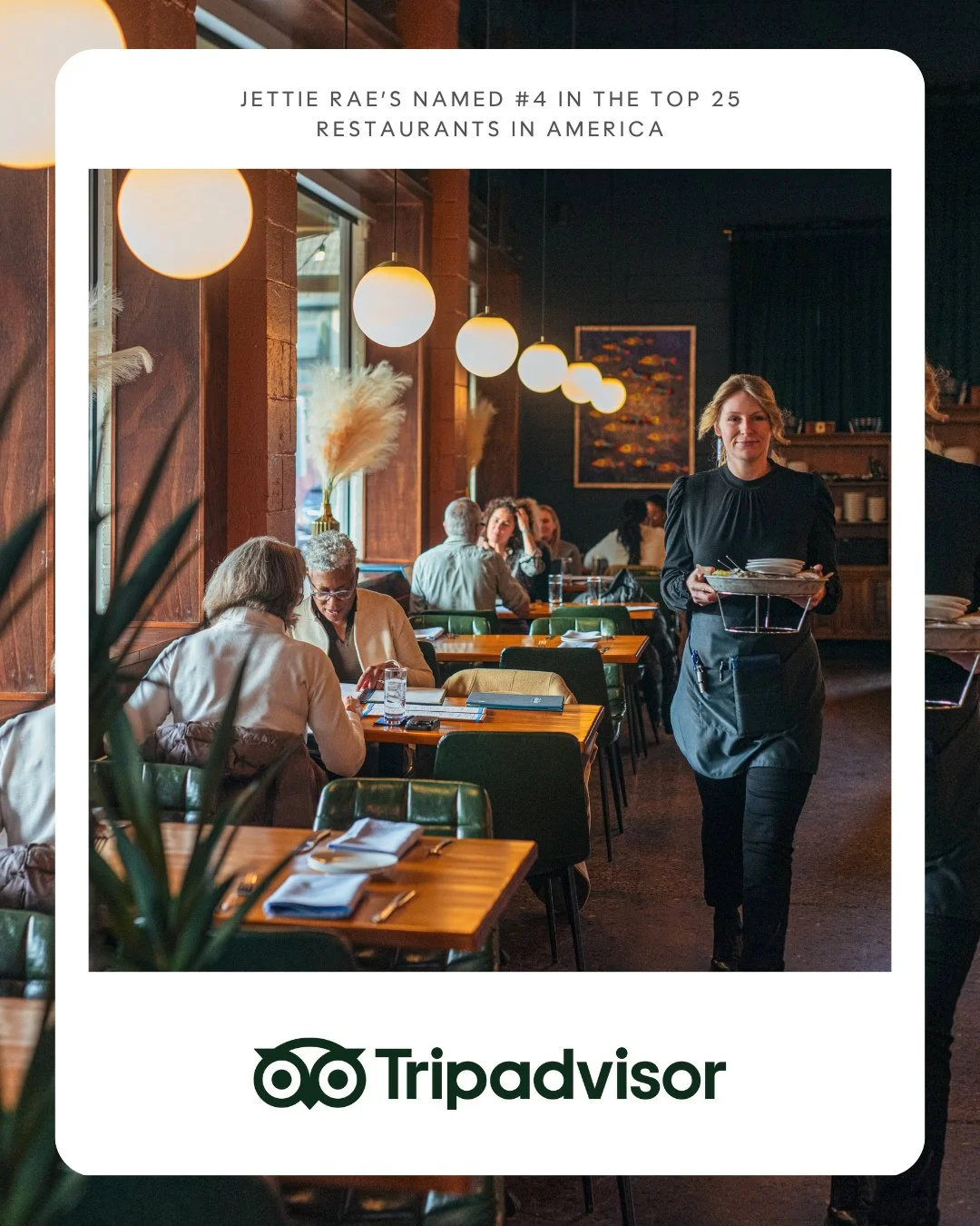 It’s a proud moment for Asheville. Jettie Rae’s Oyster House has been named one of the Top 5 Restaurants in the United States in Tripadvisor’s 2025 Travelers’ Choice Best of the Best Awards.
This marks their third consecuti