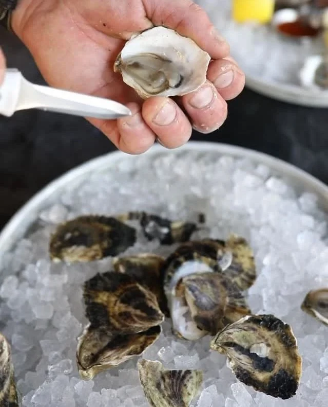 October is North Carolina Oyster Month, and we’re celebrating the hardworking people who make this season possible, from our local oyster farmers to the shuckers behind the bar. 
Join us at @jettieraes for the best oysters around and taste w
