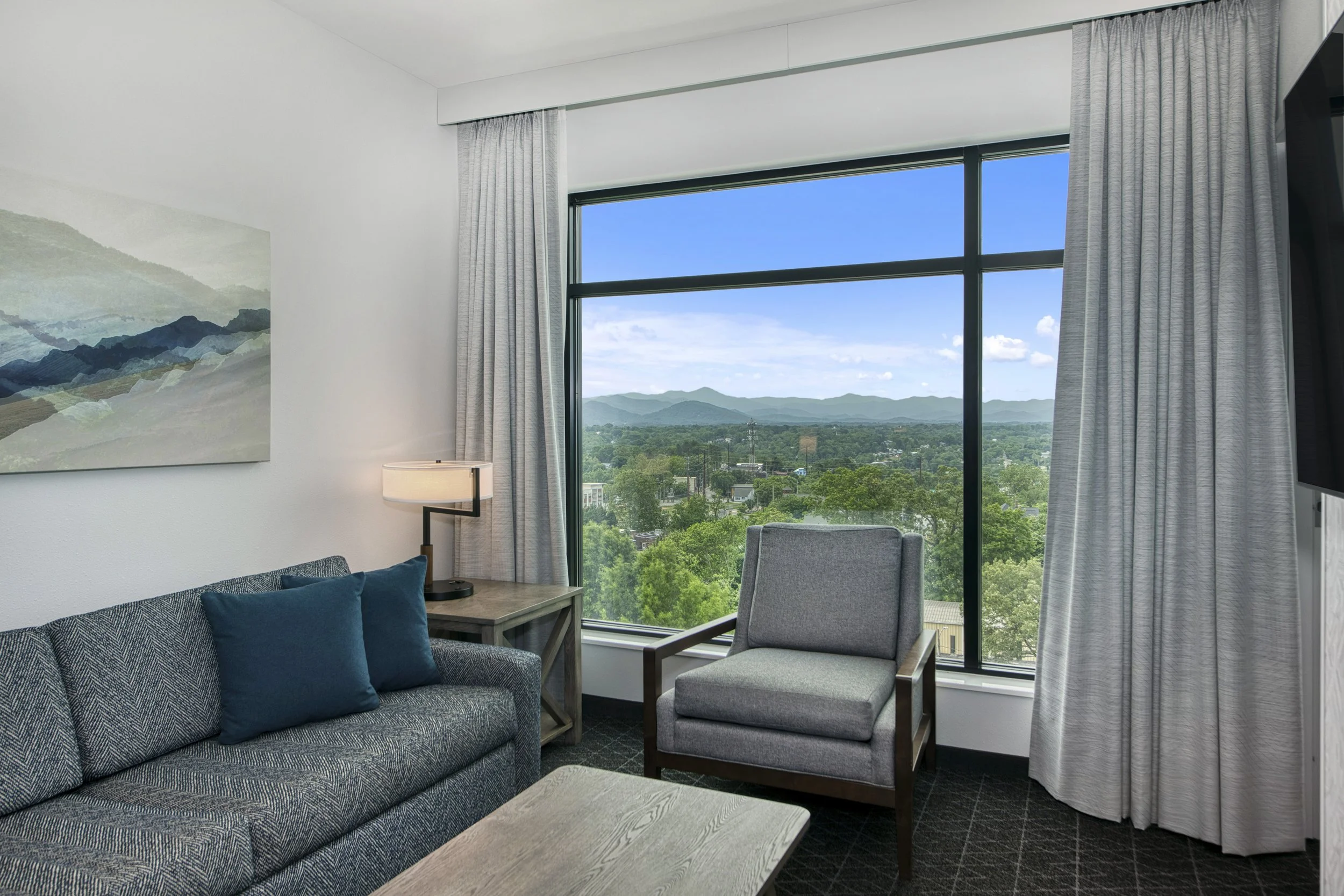 Mountain View Living Room - Close Up.jpg