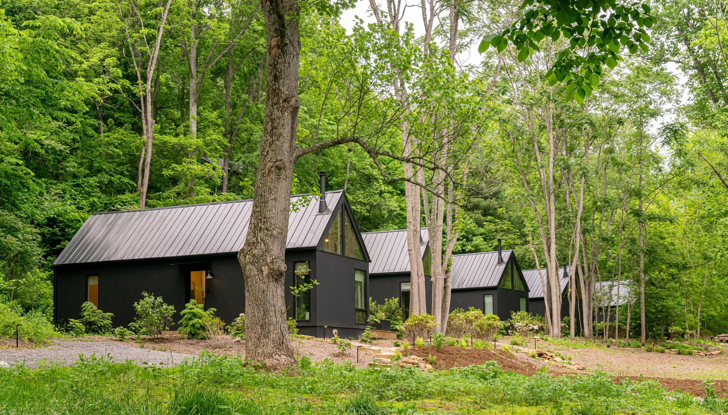 AFAR Highlights Firelight at Shope Creek and Embassy Suites Asheville Downtown