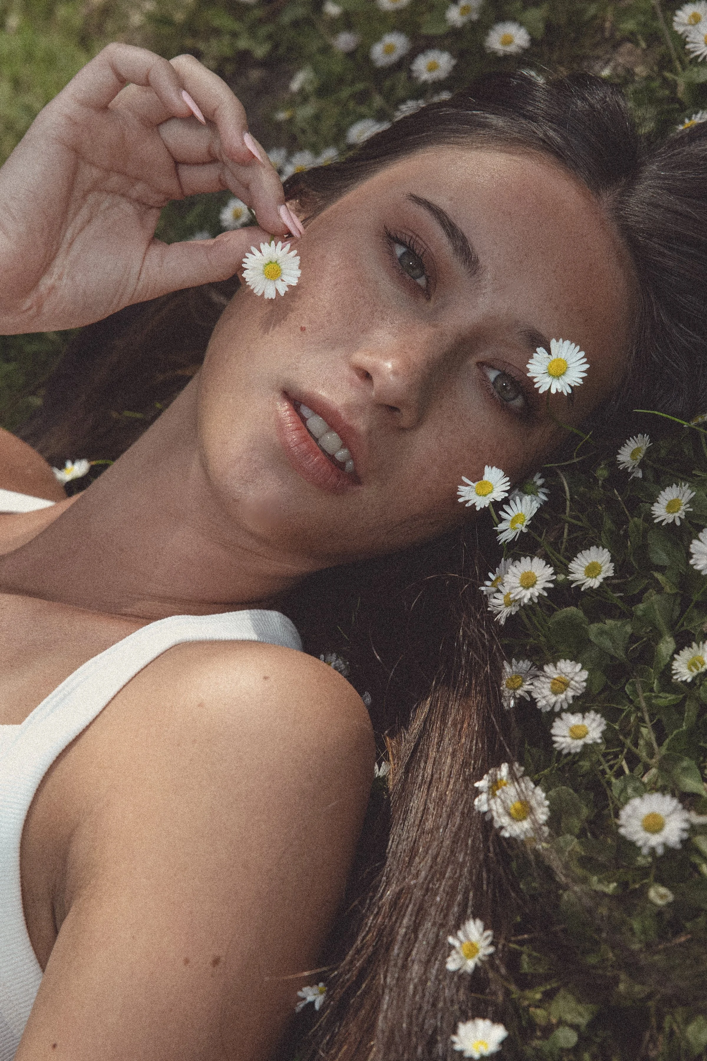 Maia