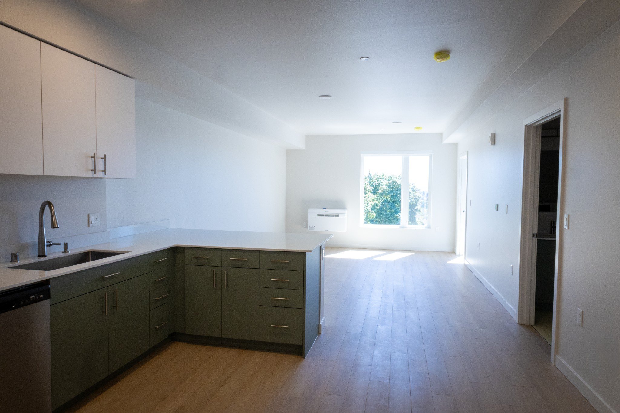 P79A5893_compressed.jpg