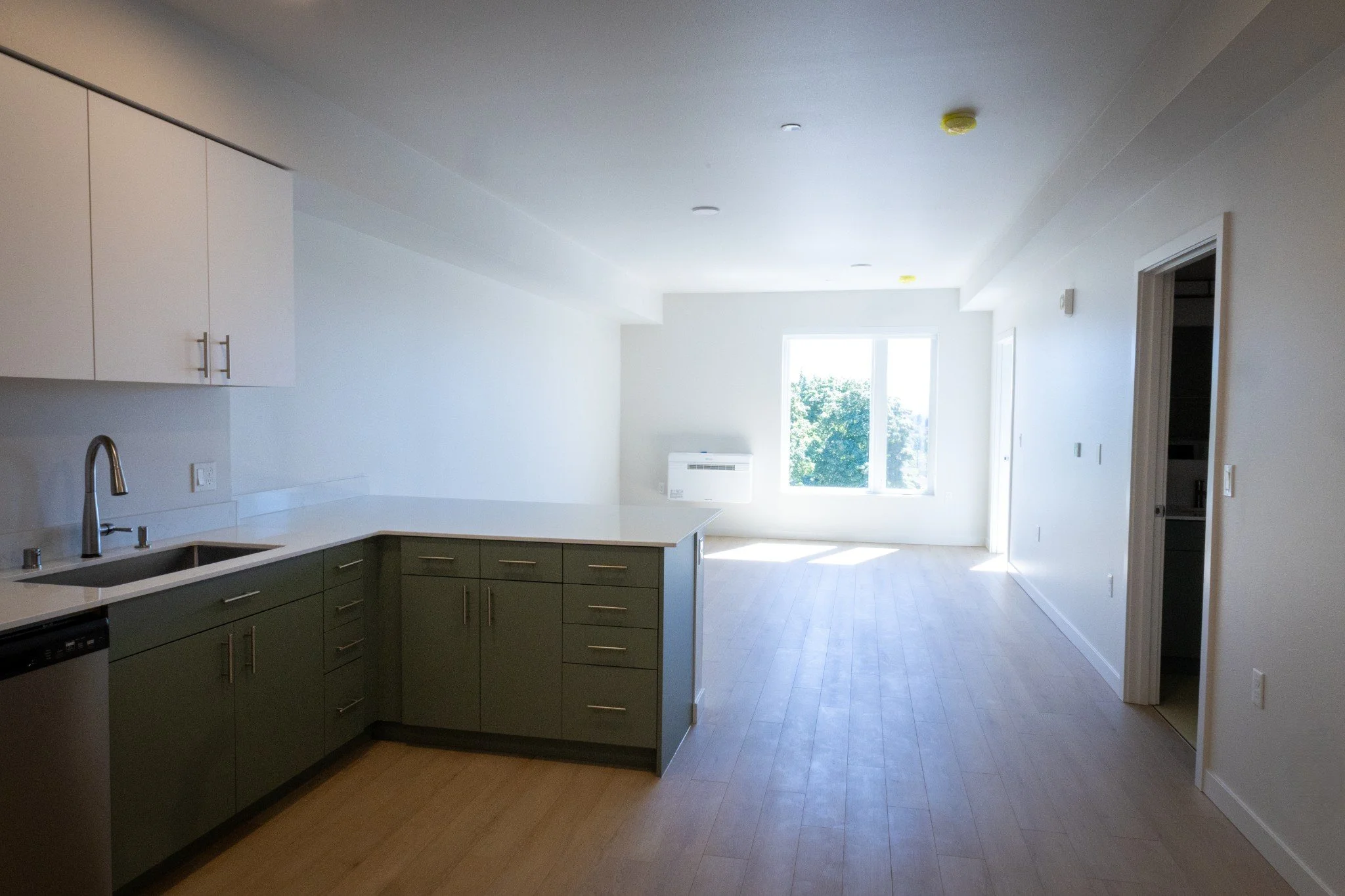 P79A5893_compressed.jpg