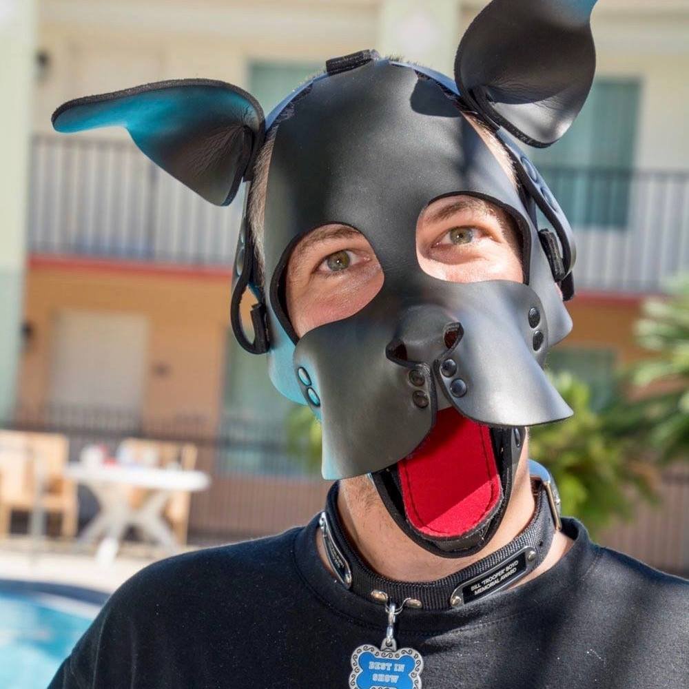 Pup Aechus