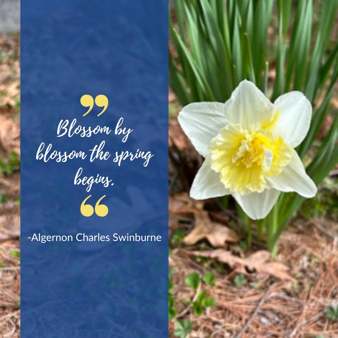 So patiently waiting...and now it is here!
Happy Spring!