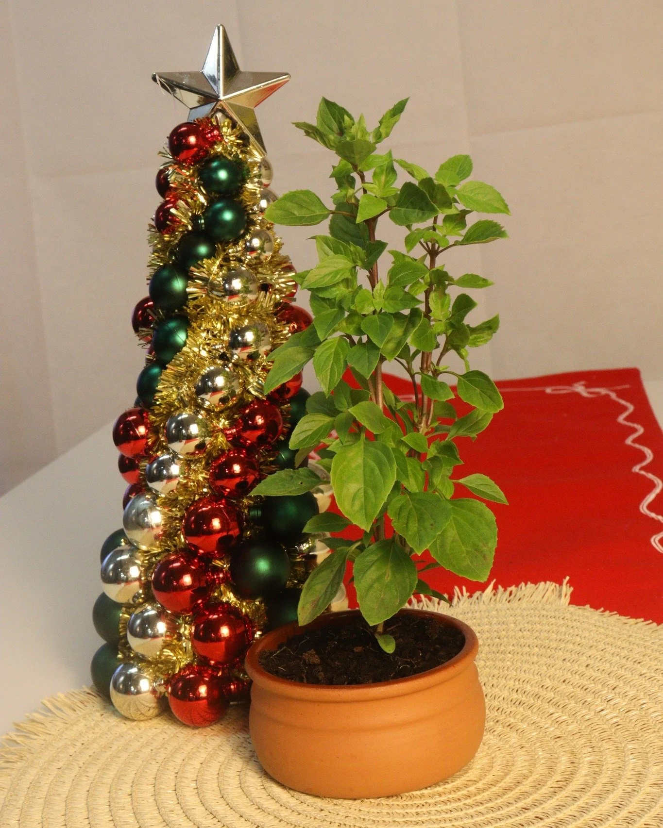 In need of a perfect Christmas gift? Reuse our Terracotta pots for the perfect pot plant this Christmas season. 🎄🎁
 #chrisdips #chrisnevermisses #12daysofchristmas #Christmas #diywithchris