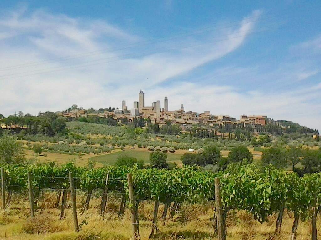 San Gimignano and vineyard.jpeg