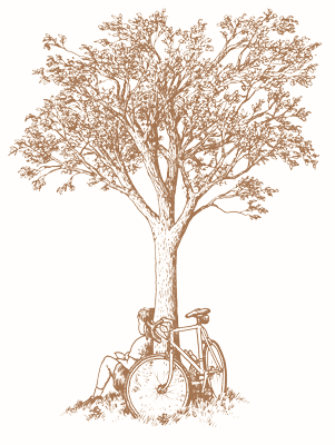 Tree-Wrench_400.png