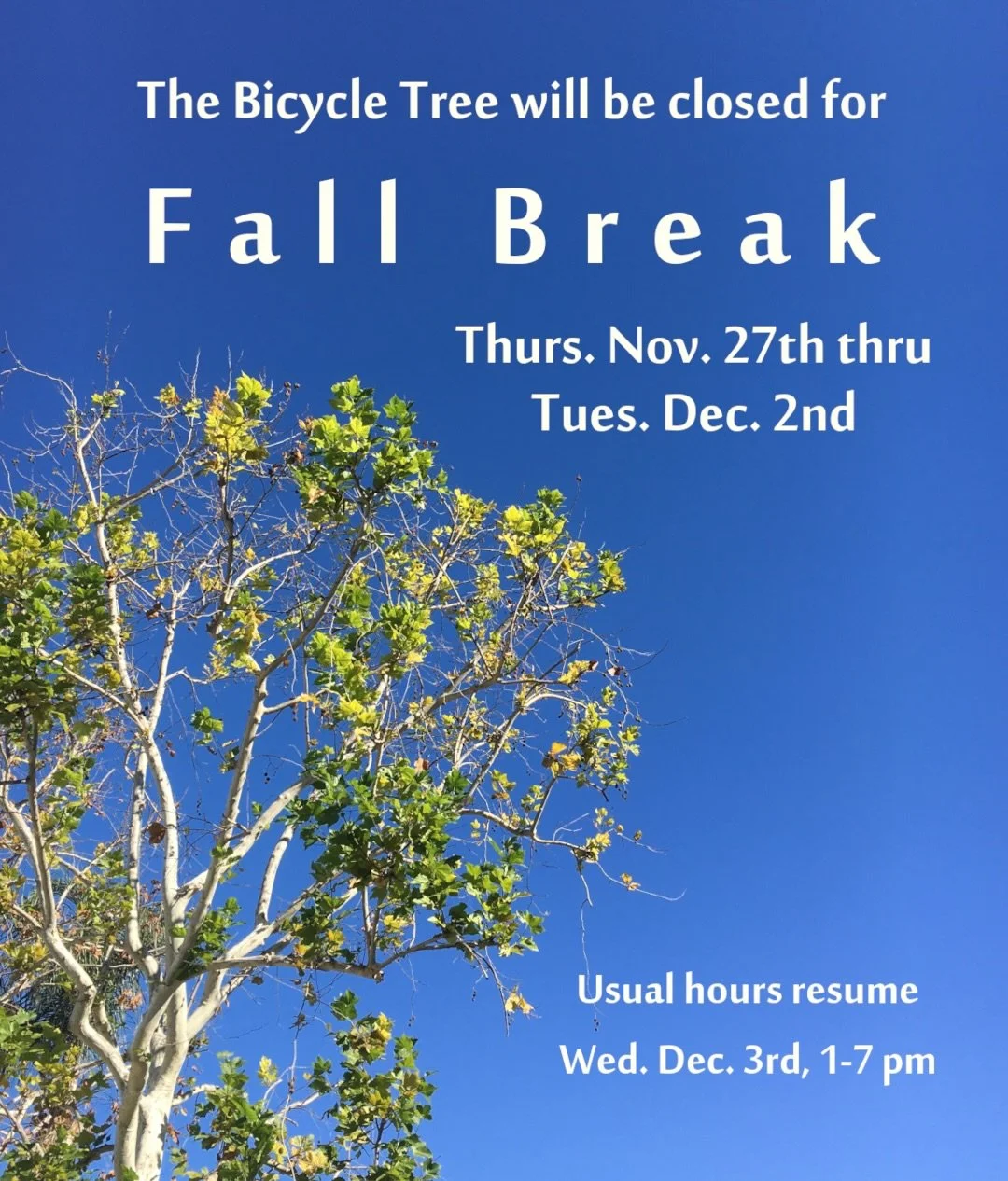 The Bicycle Tree will be closed for a Fall Break from Thursday, Nov. 27th - Tuesday, Dec. 2nd. We will reopen as usual on Wednesday, Dec. 3rd, 1-7 pm.

El Bicycle Tree estar&aacute; cerrado por vacaciones de oto&ntilde;o del jueves 27 de noviembre al