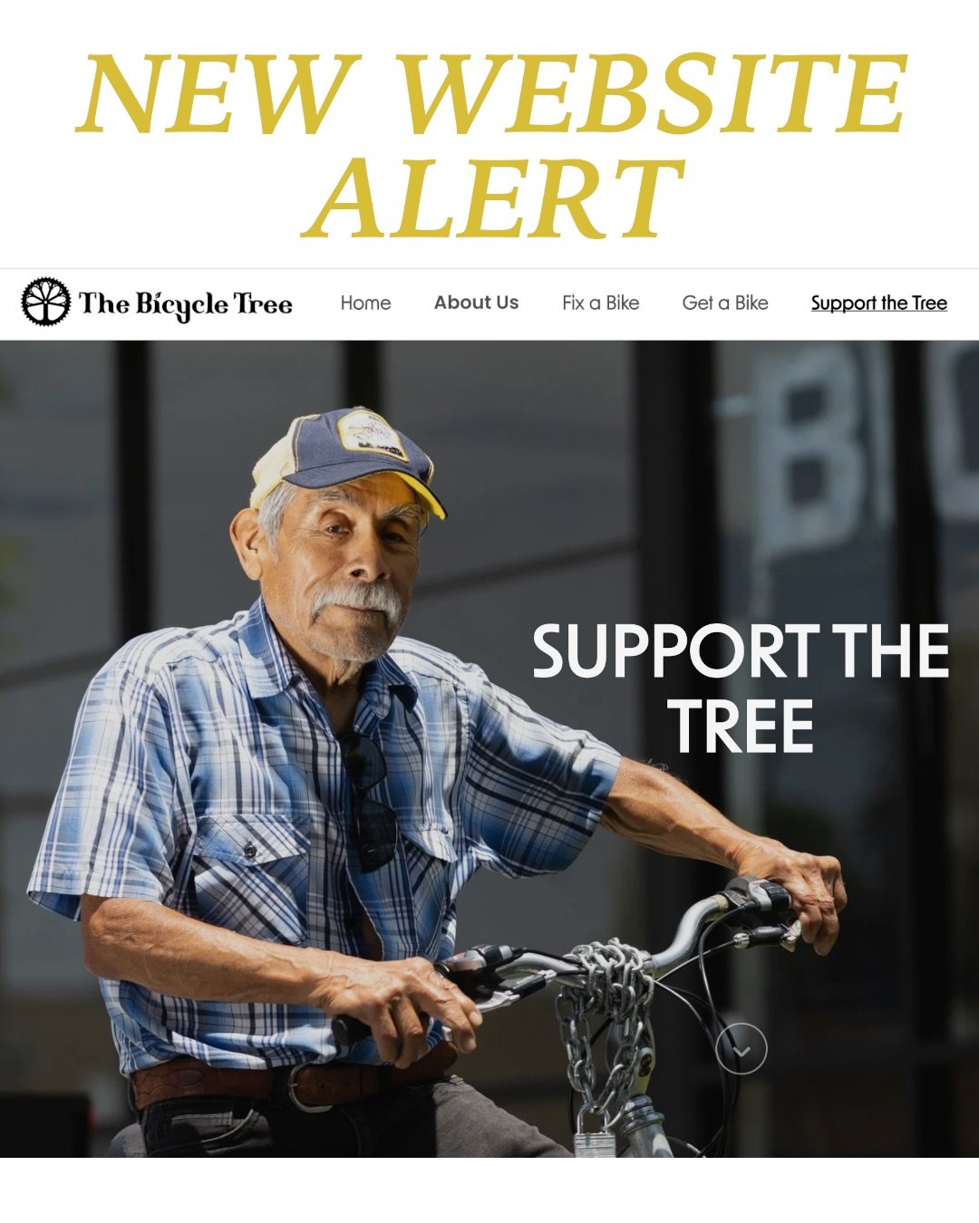 Check out our new website! 

Lovingly prepared by Tim Meraz, Jenny Han, serra s&oacute;l, and Paul Nagel with photos by @julieleopo, the new site provides a much needed update. We hope the new site gives a clearer picture of what we do and helps conn