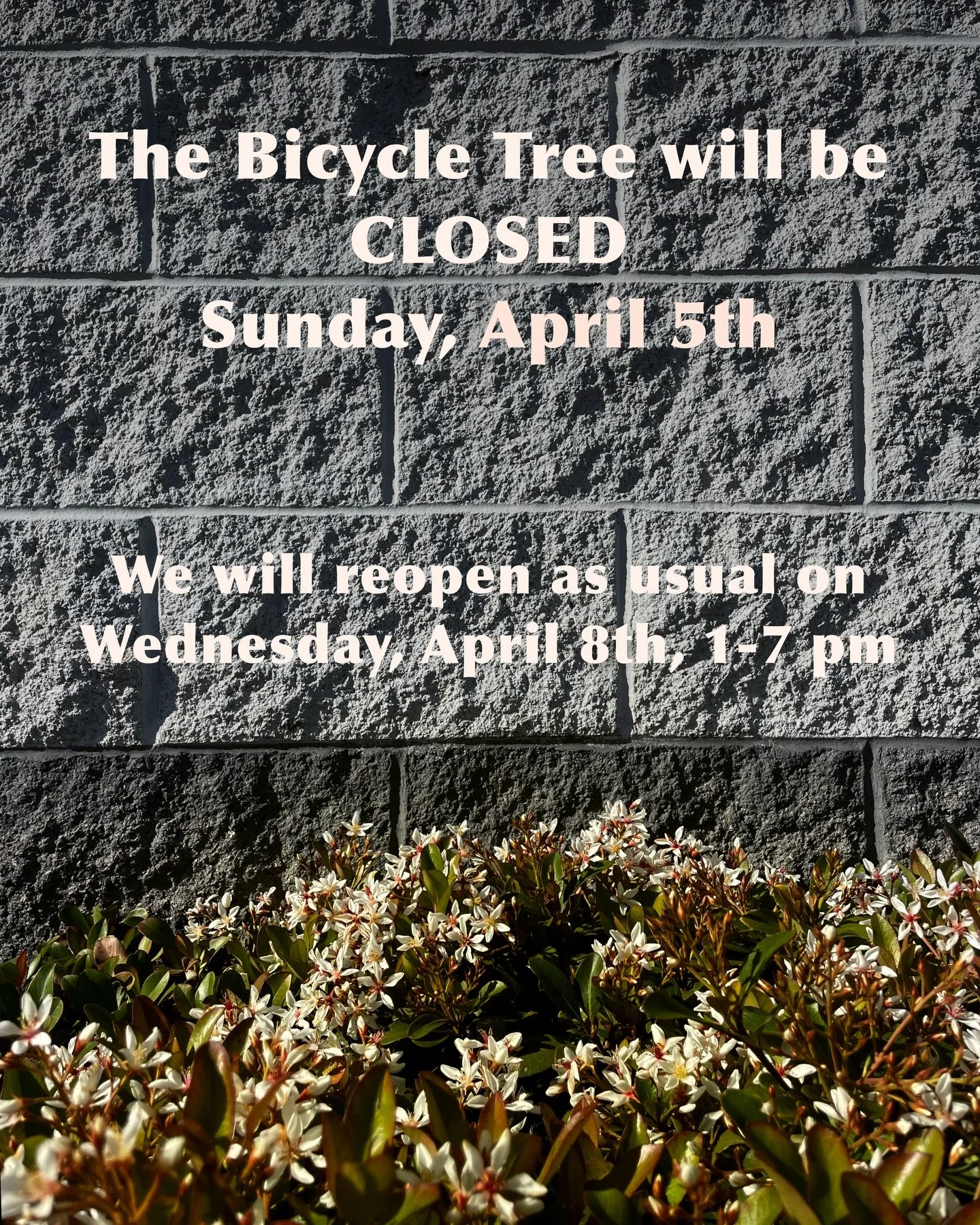 The Bicycle Tree will be closed this Sunday, April 5th. We will reopen as usual on Wednesday, April 8th, 1-7 pm.

El Bicycle Tree estar&aacute; cerrado el domingo 5 de abril. Reabriremos como de costumbre
el mi&eacute;rcoles 8 de abril, 1-7 pm.