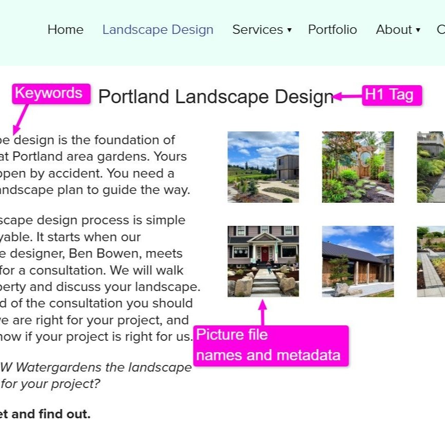 Website audits for landscape designers