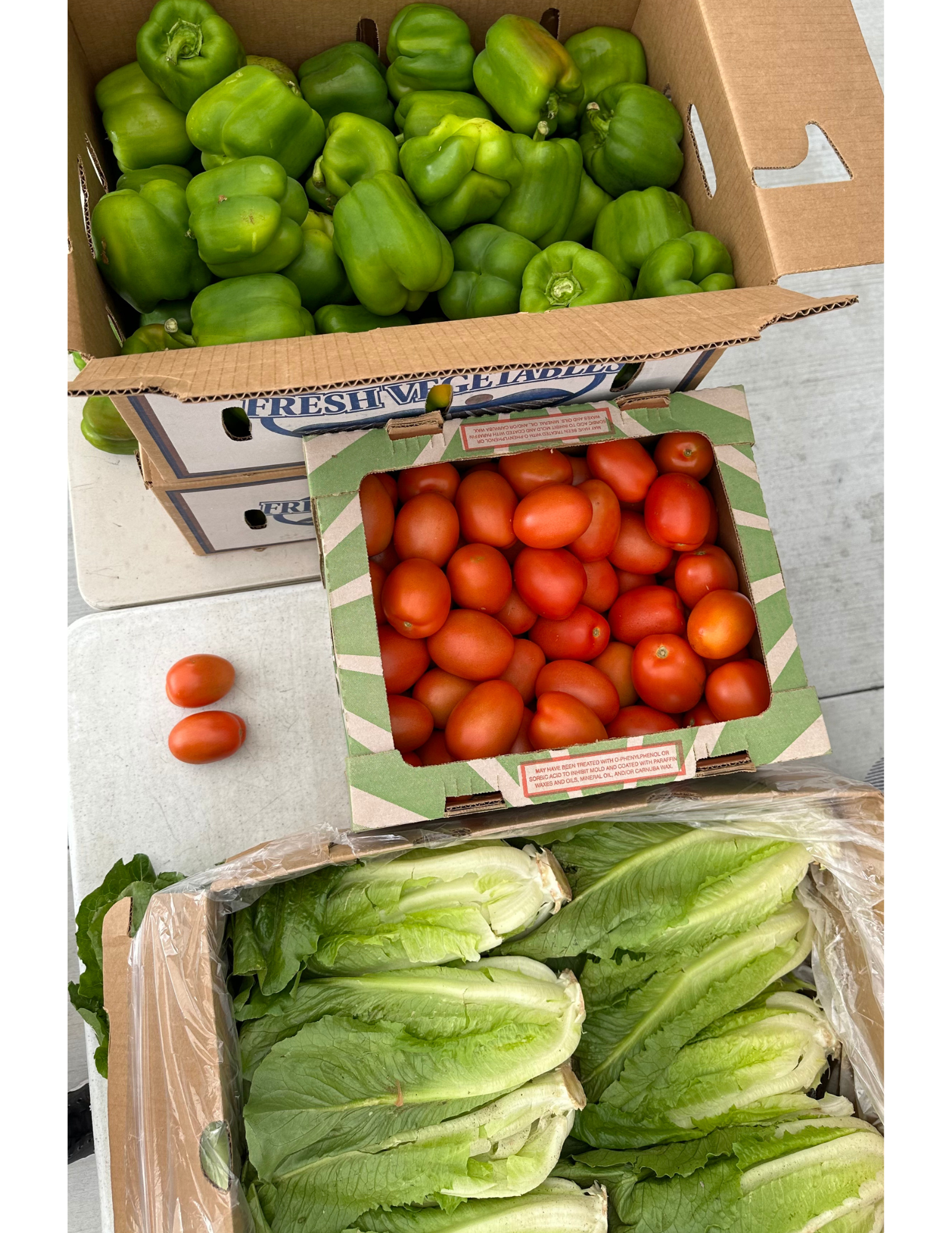 Food Distribution 025.png