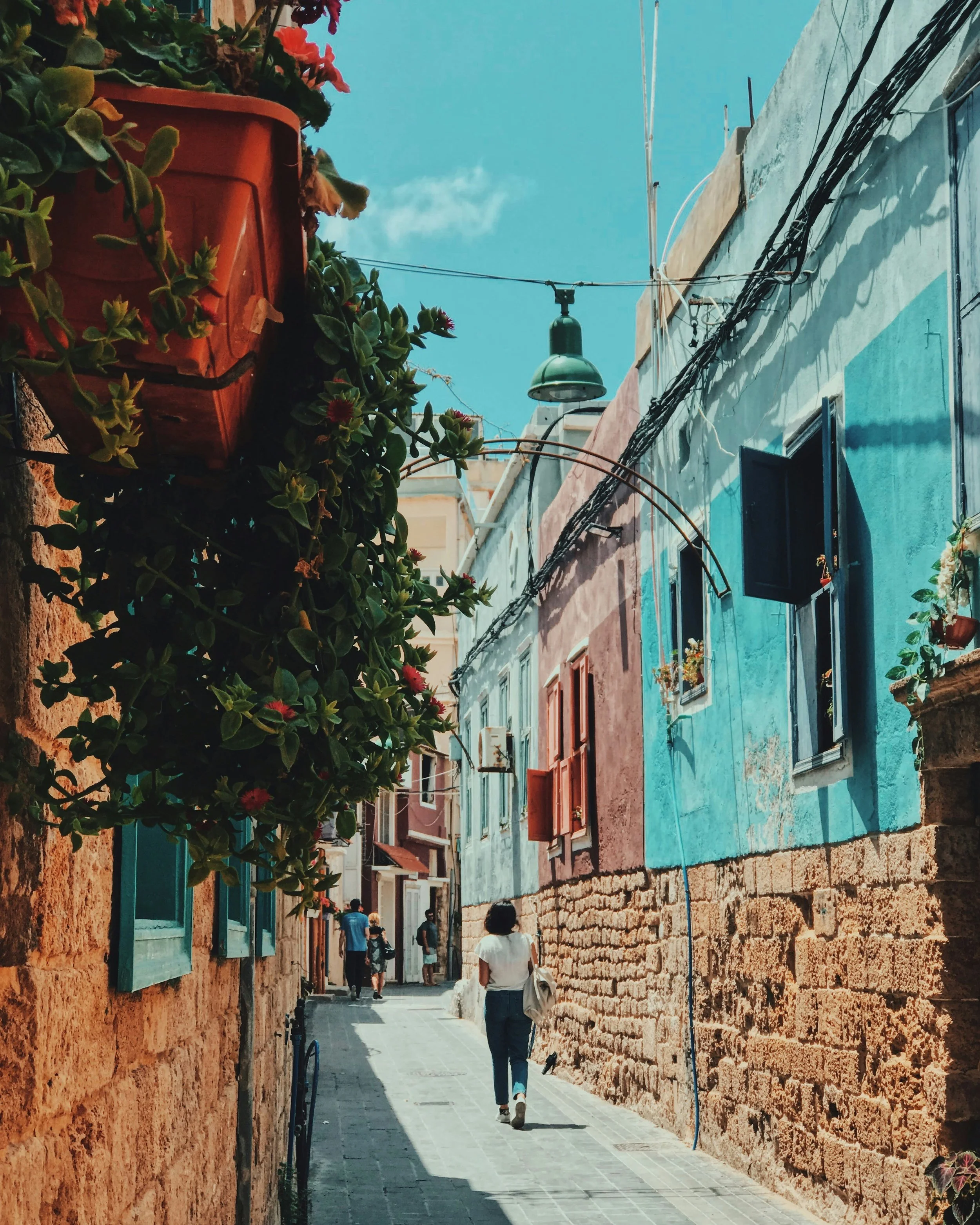 nina-abdel-malak--dVSfkHdONA-unsplash.jpg