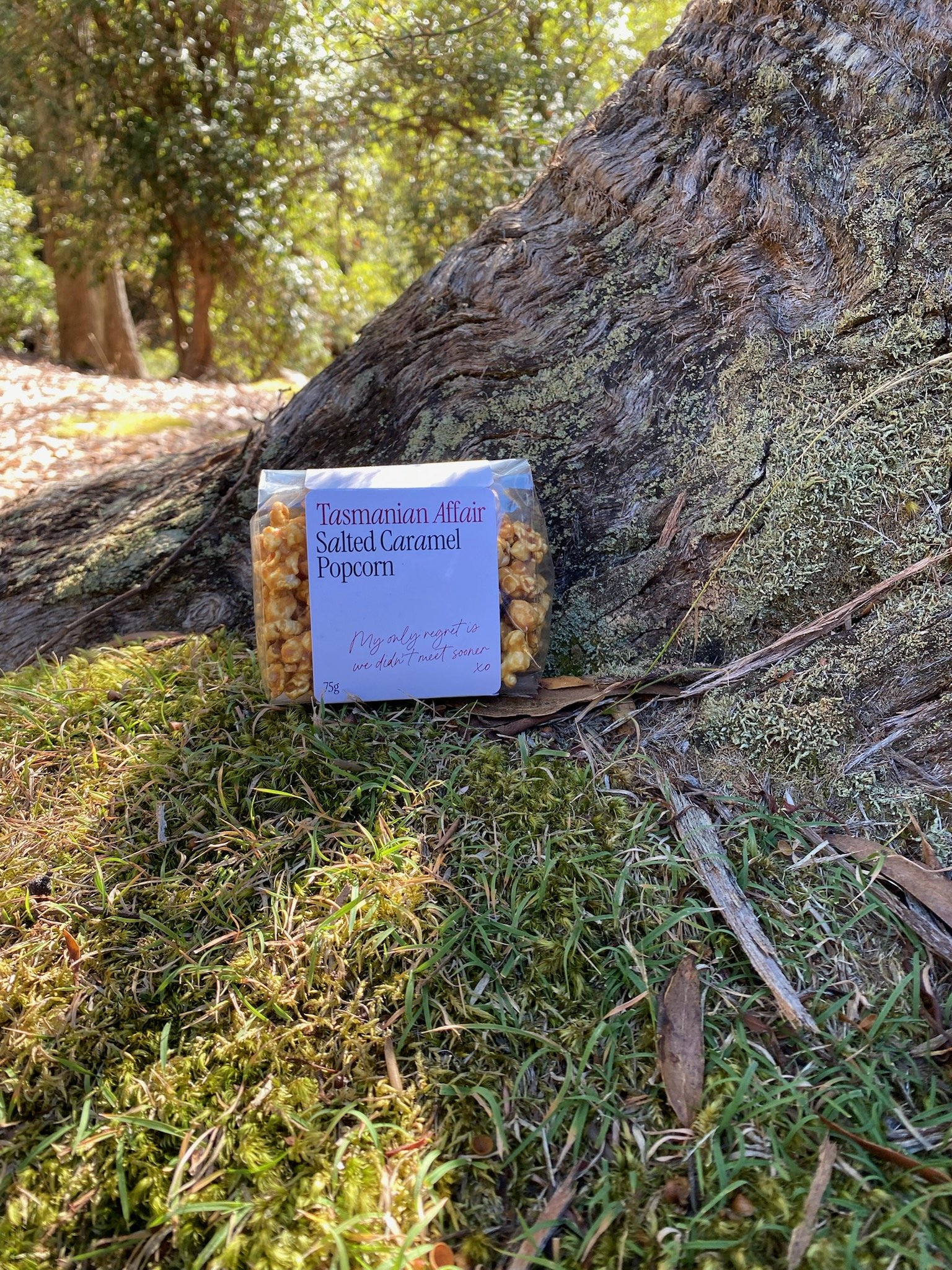 Tasmanian Affair Popcorn at Mount Field National Park