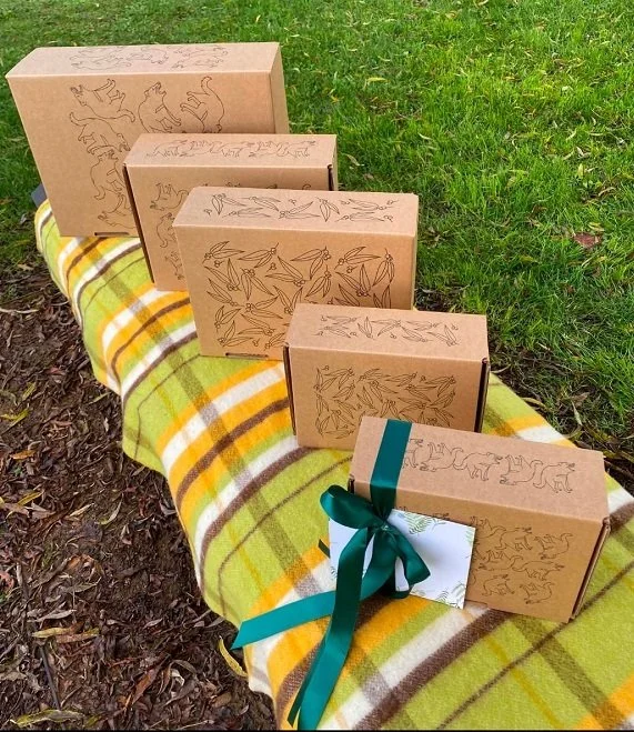 Boxes on rug Franklin 1.jpg