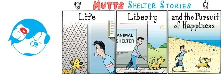 Life, Liberty and the Pursuit of Happiness
