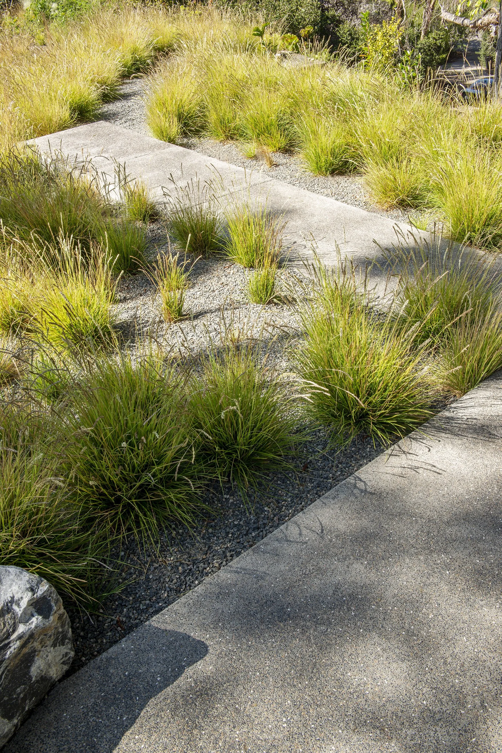DCAP_GLA_Del+Mar_Landscaping_Detail_5.jpg