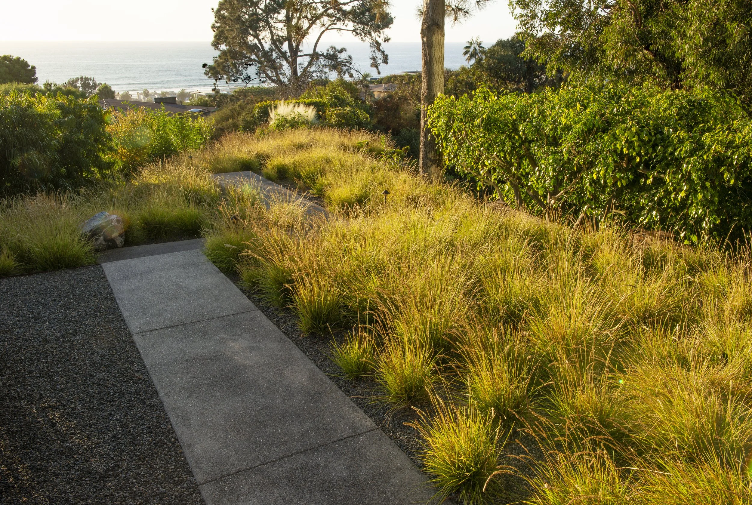 DCAP_GLA_Del Mar_Landscaping_Back_7.jpg
