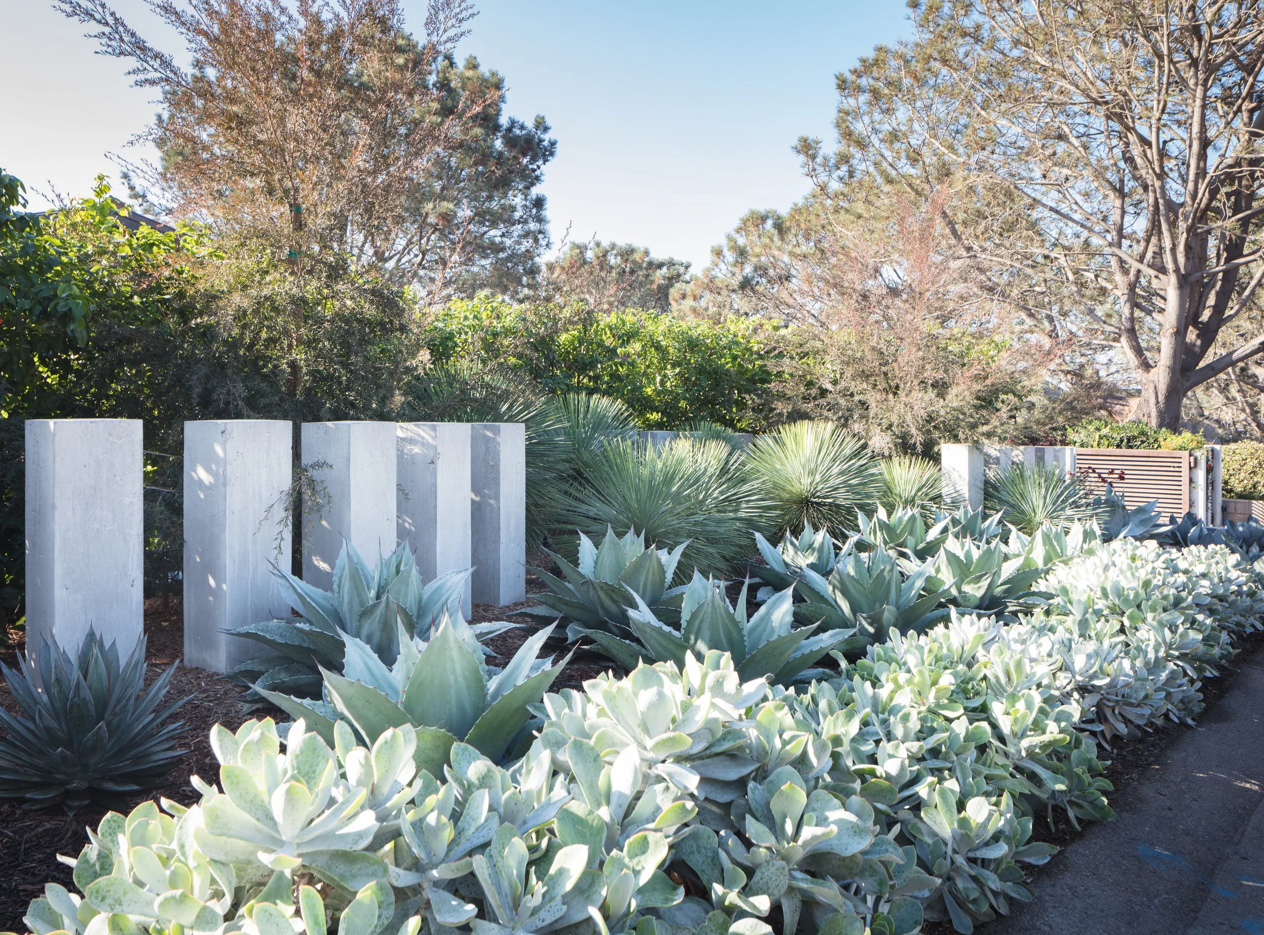 bradley_belyea_torrey pines_4.jpg